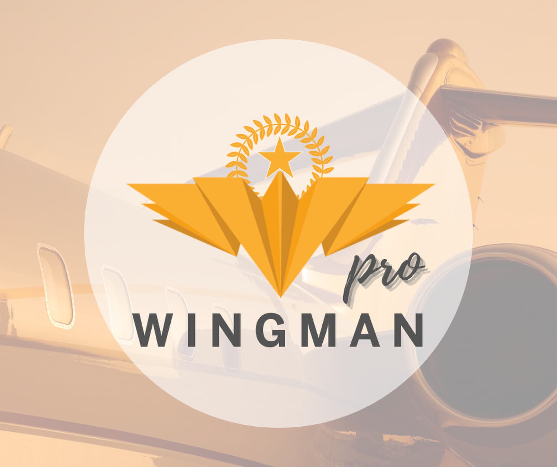 Certification Wyvern Wingman